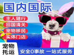 长沙机场货运国际宠物托运 【国
